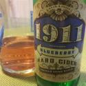 Picture of 1911 Blueberry Hard Cider