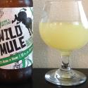 Picture of Wild Mule