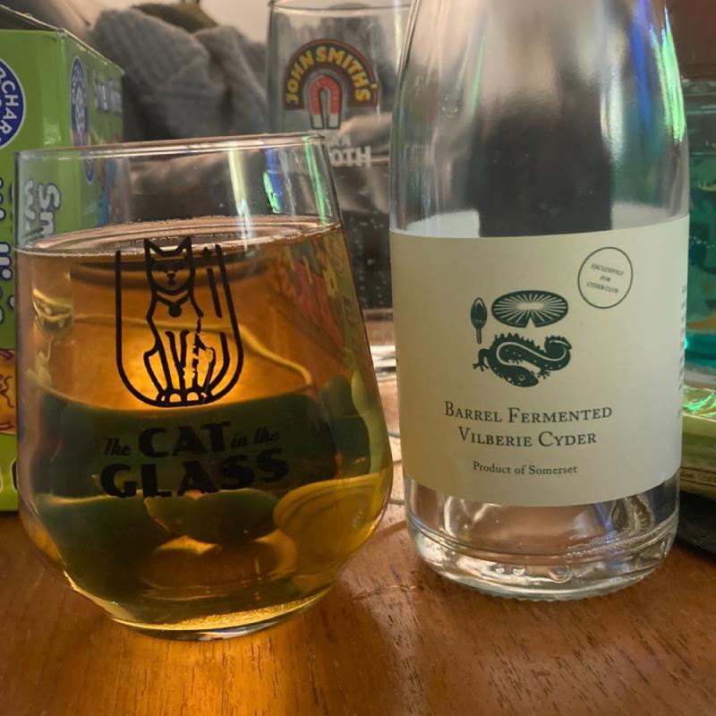 picture of The Newt Barrel Fermented Vilberie Cyder 2021 submitted by Judge