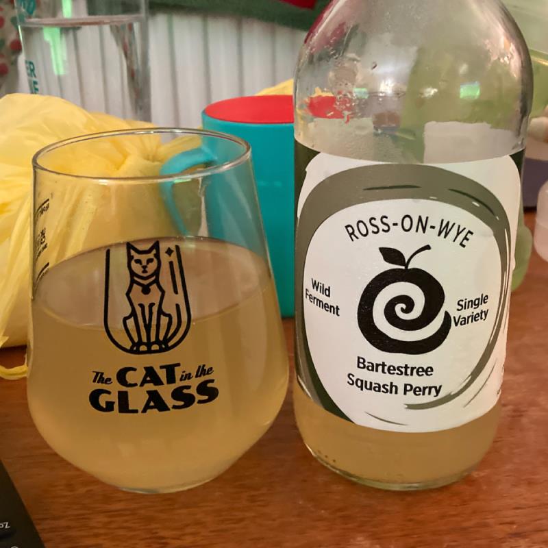 picture of Ross-on-Wye Cider & Perry Co Bartestree Squash Perry 2020 submitted by Judge