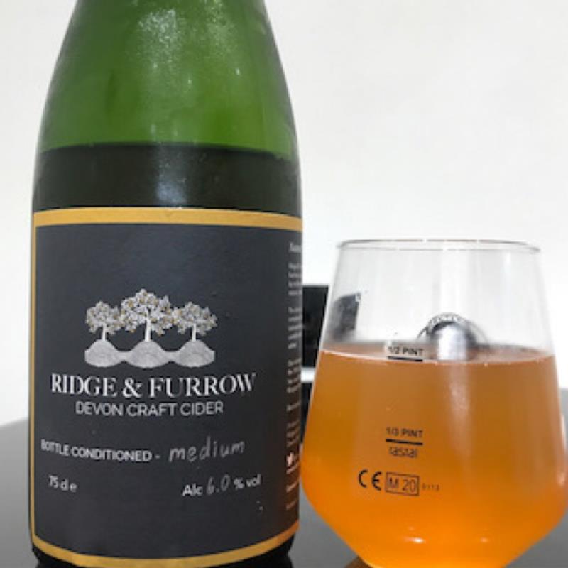 picture of Ridge & Furrow Bottle Conditioned Medium submitted by Judge