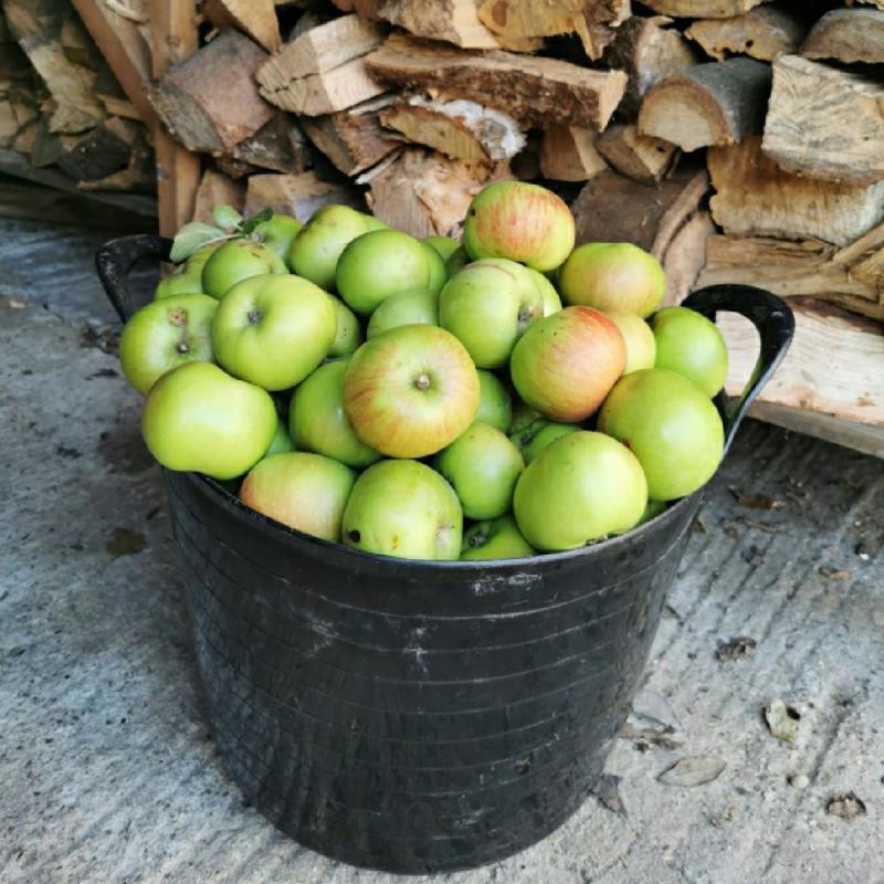 picture of Doodle's Orchard Cider Bramley submitted by IanWhitlock