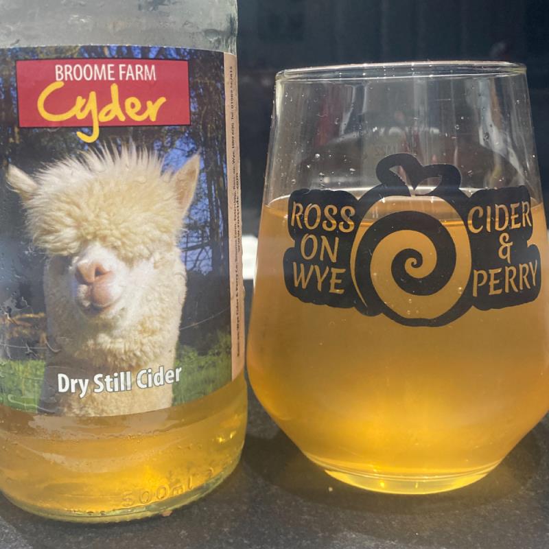 picture of Ross-on-Wye Cider & Perry Co Broome Farm Cyder 2021 submitted by Judge
