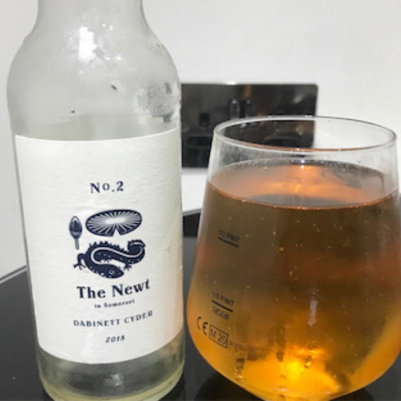 picture of The Newt Dabinett Cyder 2018 submitted by Judge
