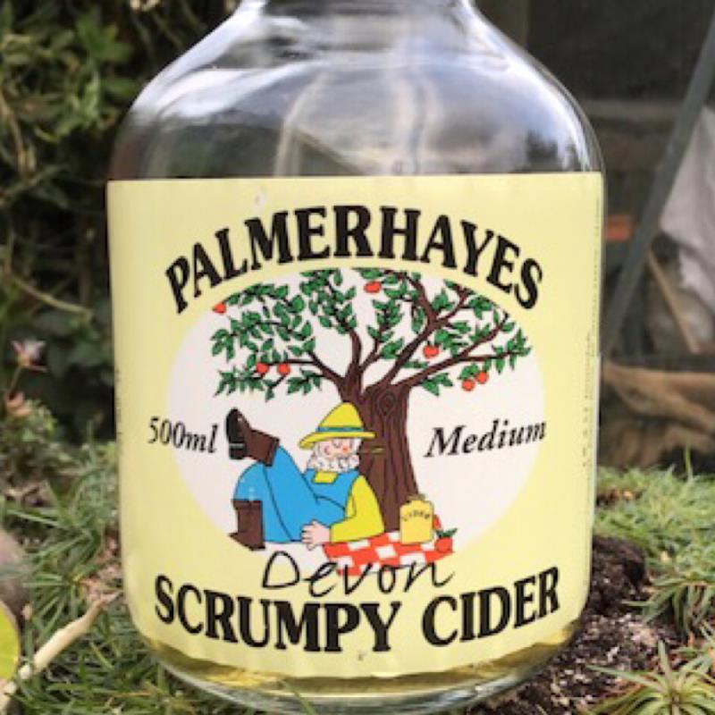picture of Palmerhayes Devon Scrumpy Cider submitted by pubgypsy