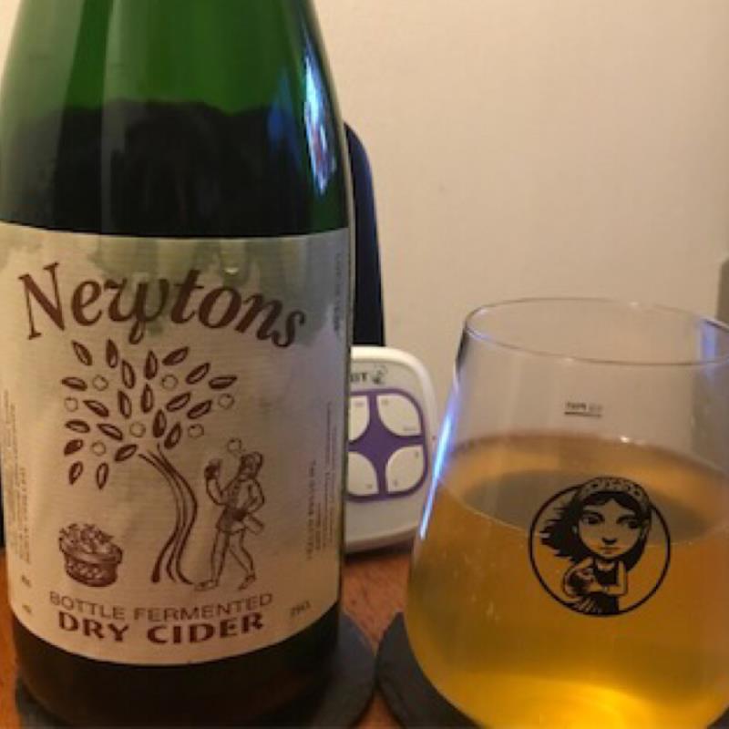picture of Newton Court Dry Cider bottle fermented submitted by Judge
