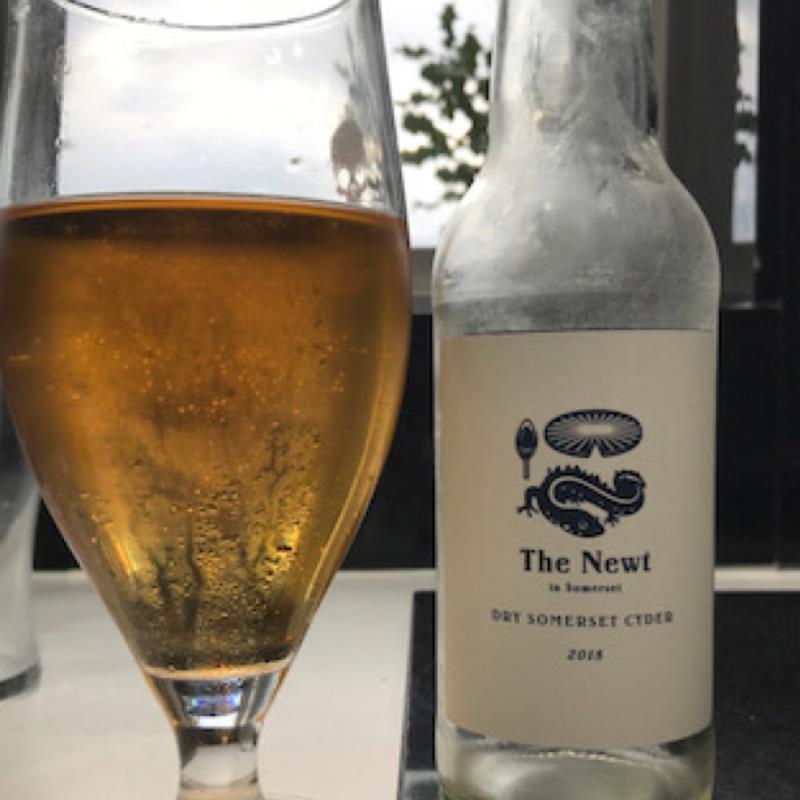 picture of The Newt Dry Somerset Cyder 2018 submitted by Judge