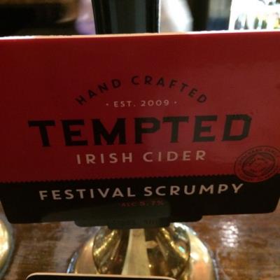 picture of Tempted Irish Craft Cider Festival Scrumpy submitted by danlo