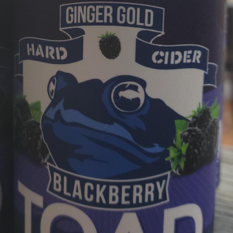 picture of Blue Toad Hard Cider Ginger Gold Blackberry submitted by Katya4me