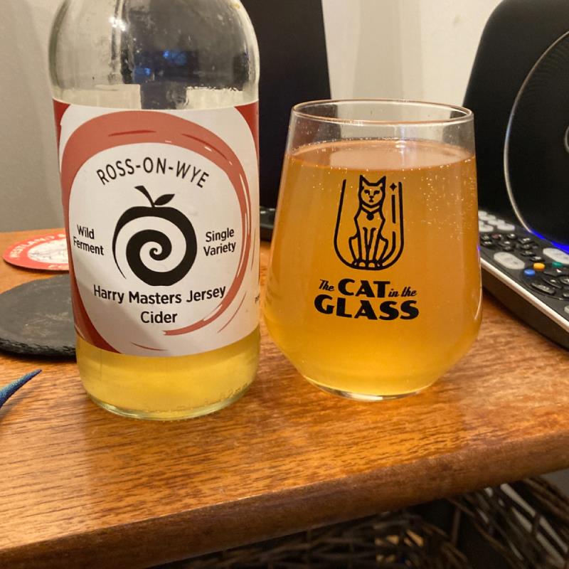 picture of Ross-on-Wye Cider & Perry Co Harry Masters Jersey Cider 2021 submitted by Judge