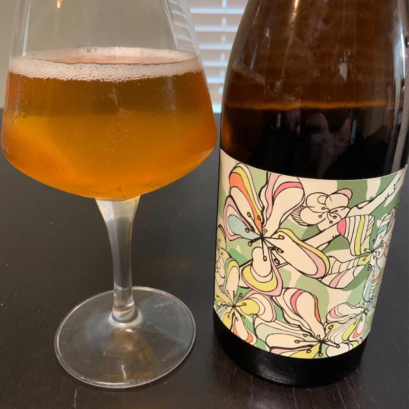 picture of Tilted Shed Ciderworks Hewes Blend submitted by KariB