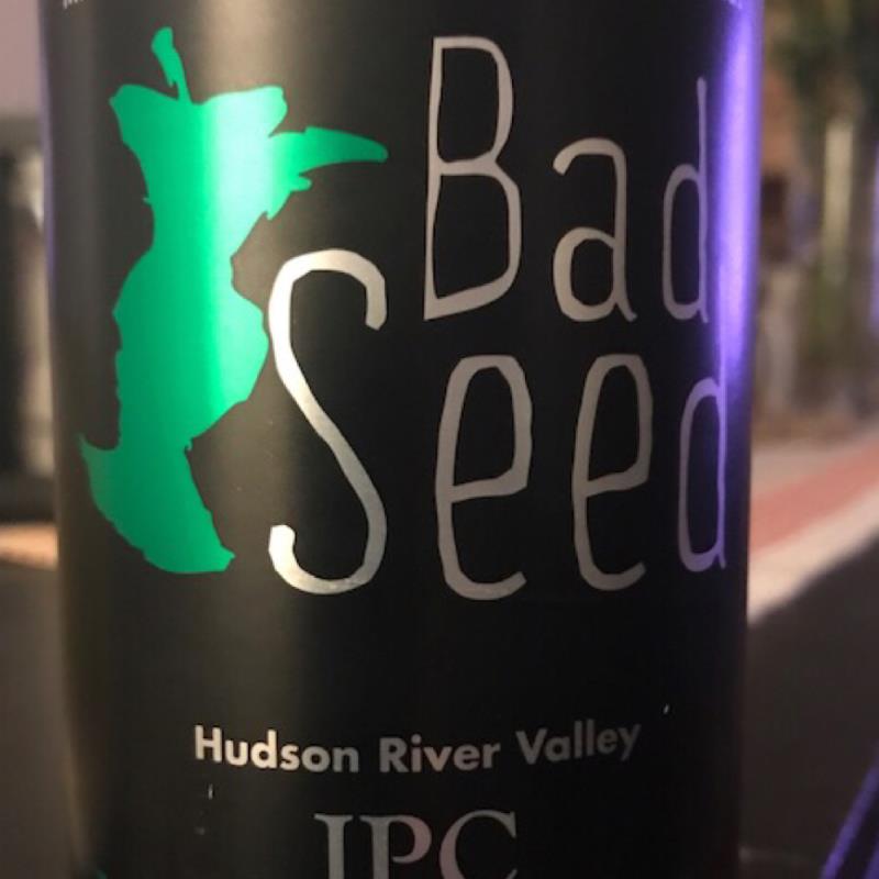 picture of Bad Seed Cider IPC Hopped Hard Cider submitted by LilFrenchFri00