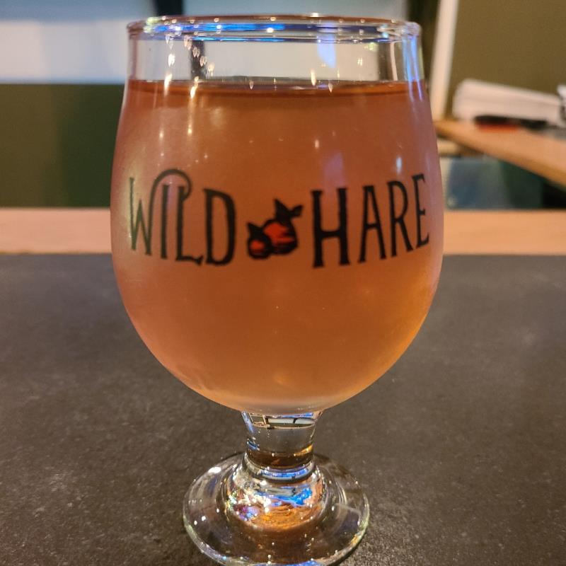 picture of Wild Hare Hard Cider That's Interesting submitted by irishluck1124