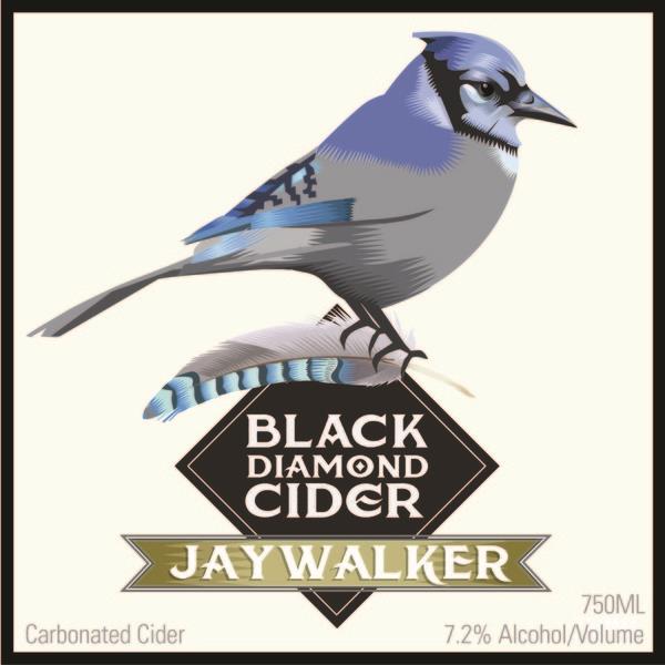 picture of Black Diamond Cider Jaywalker submitted by KariB