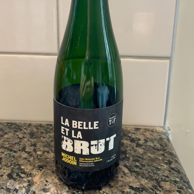 picture of Michel Jodoin La belle et la Brut submitted by Philippe