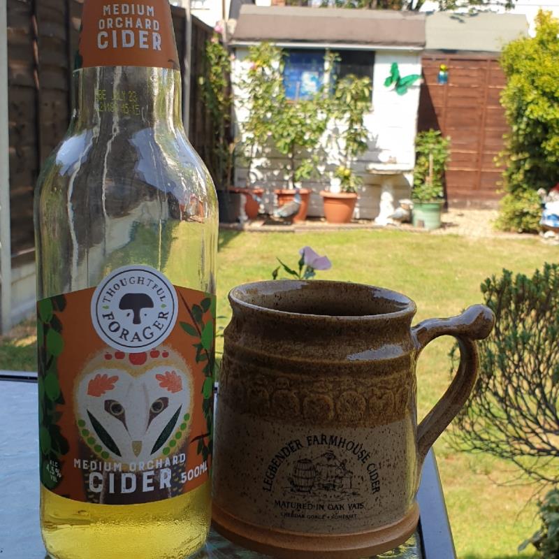 picture of Thoughtful Forager Medium Orchard Cider submitted by IanWhitlock