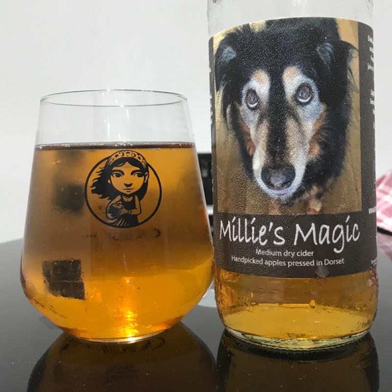 picture of Temple Cider Millie’s Magic submitted by Judge
