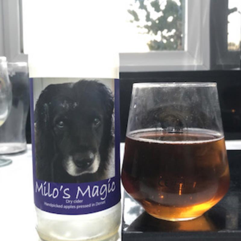 picture of Temple Cider Milo’s Magic submitted by Judge