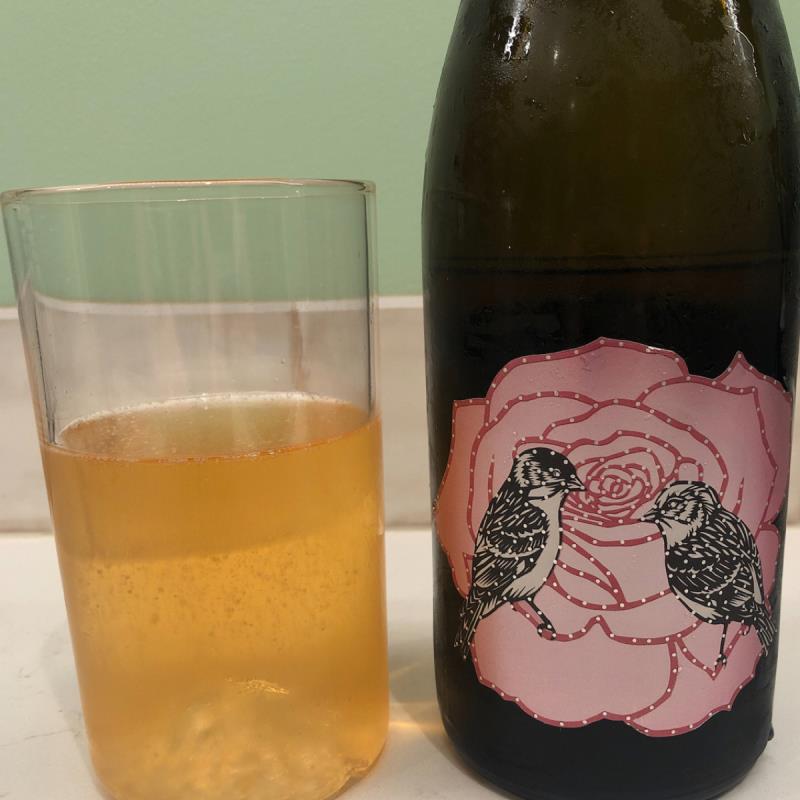 picture of Art+Science Winery Mountain Rose Cider submitted by david