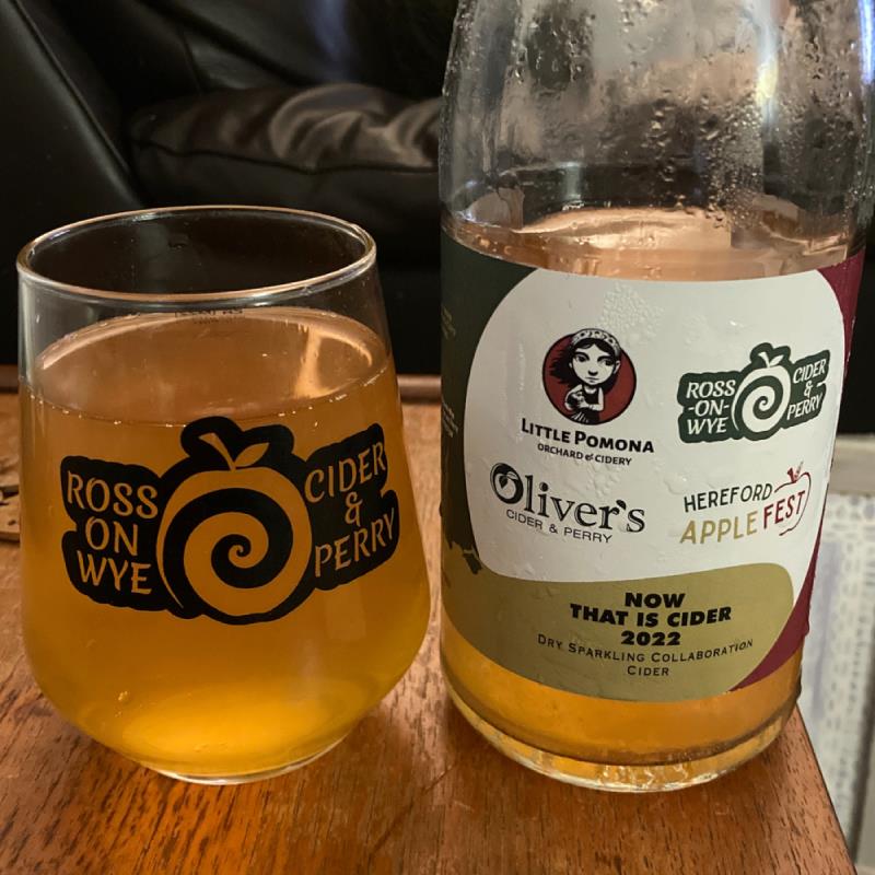 picture of Ross-on-Wye Cider & Perry Co Now This is Cider 2022 submitted by Judge