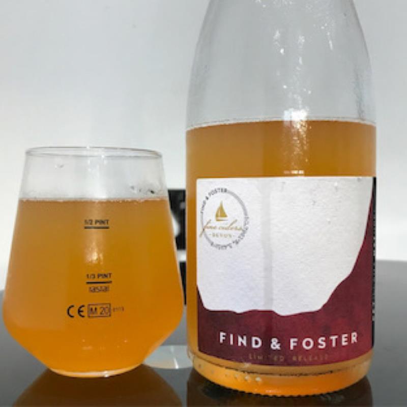 picture of Find & Foster Pendragon 2019 submitted by Judge