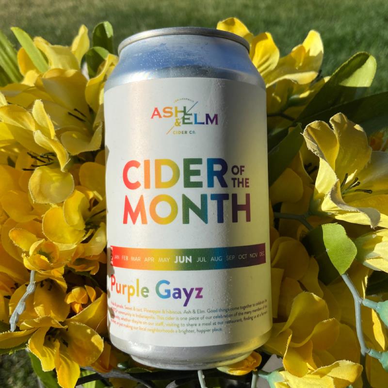 picture of Ash & Elm Cider Co. Purple Gayz submitted by Tinaczaban