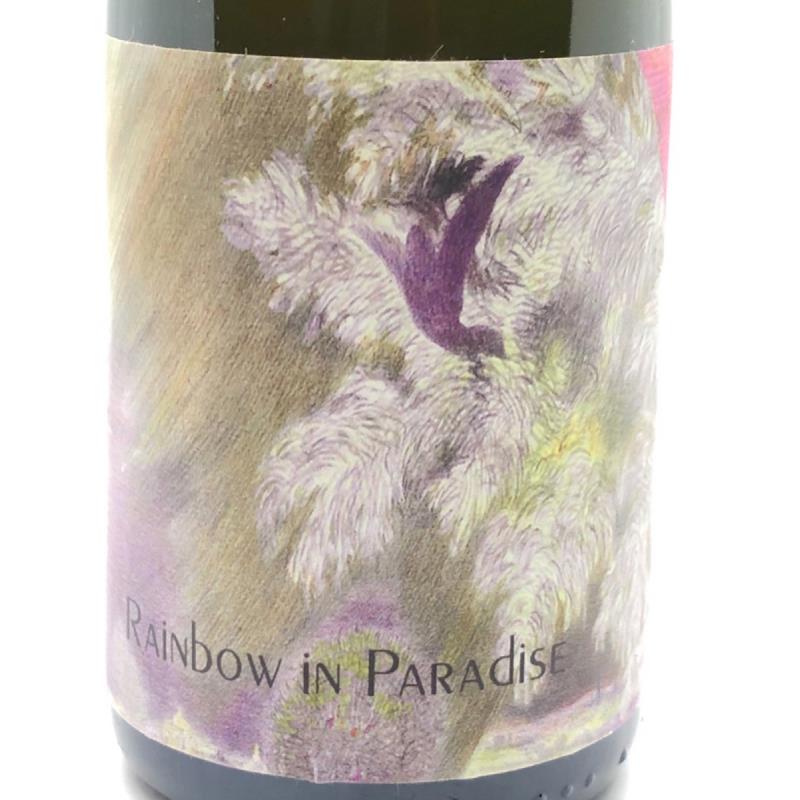 picture of Botanist & Barrel Cidery & Winery Rainbows in Paradise submitted by PricklyCider