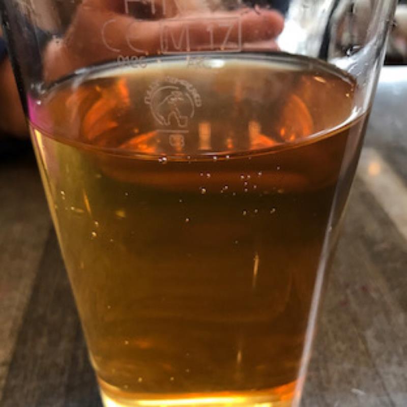 picture of Harry's Cider Scrummage submitted by Judge
