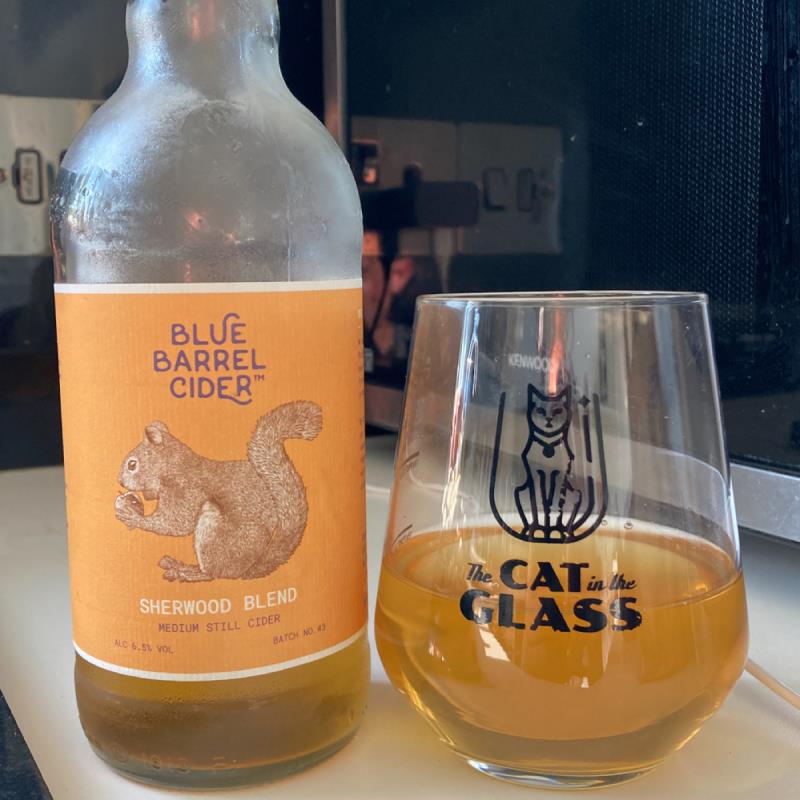 picture of Blue Barrel Cider Sherwood Blend 2021 submitted by Judge