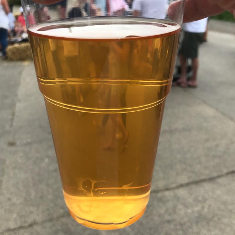 picture of Harry's Cider Somerset Blend submitted by Judge