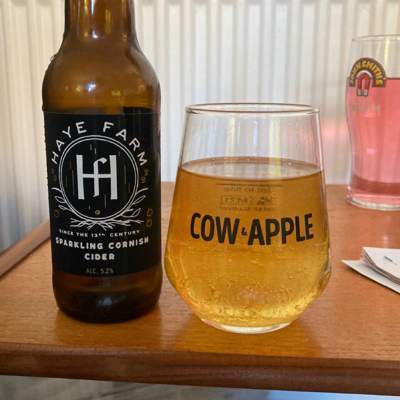 picture of Haye Farm Sparkling Cornish Cider 2022 submitted by Judge