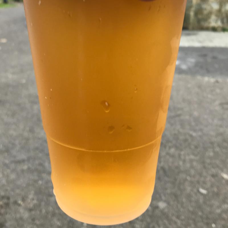 picture of Twisted Cider Sunset submitted by Judge