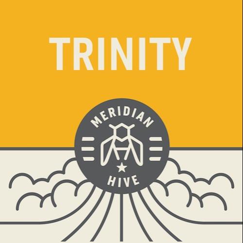 picture of Meridian Hive Trinity submitted by KariB