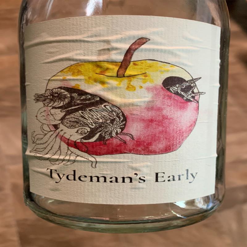 picture of Eve's Cidery Tydeman's Early submitted by KariB