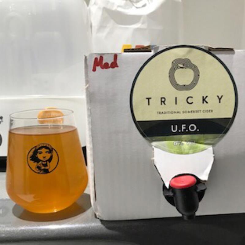picture of The Tricky Cider Co. UFO Medium submitted by Judge