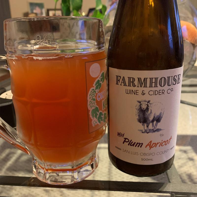 picture of Farmhouse Wine & Cider Co. Wild Plum Apricot Wine submitted by JemStar